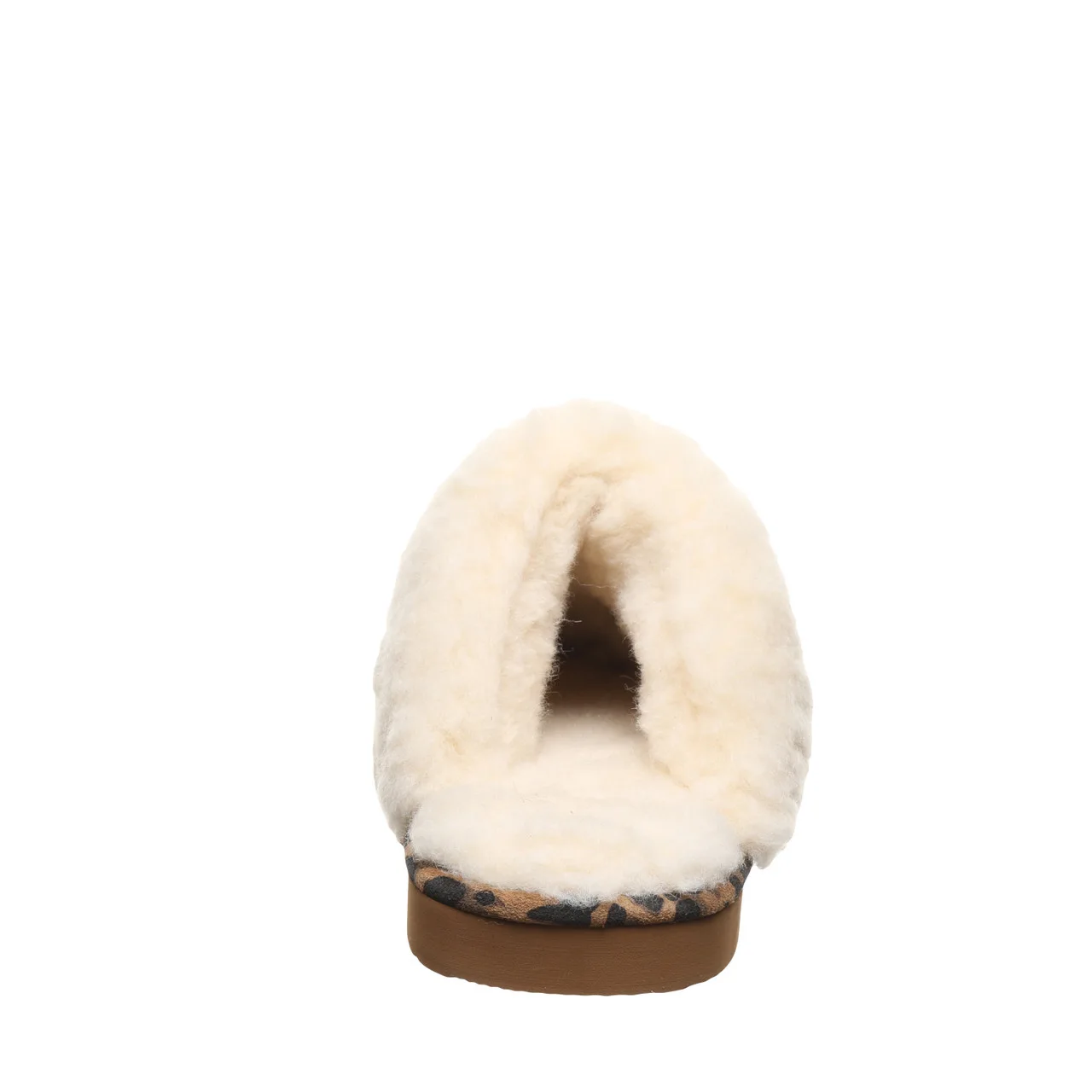 Bearpaw Loki Exotic slika 5