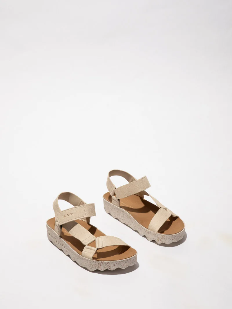 Clew P018222 slika 1