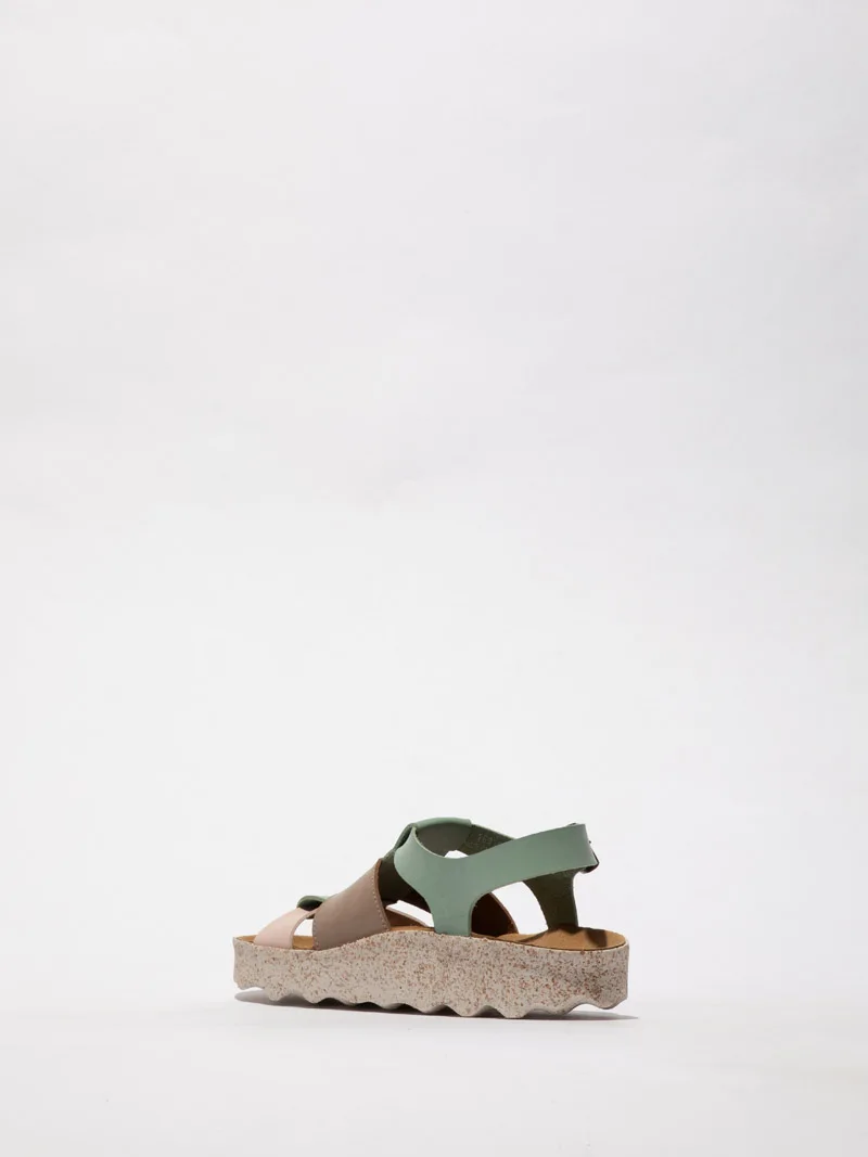 Calla P018329 slika 2