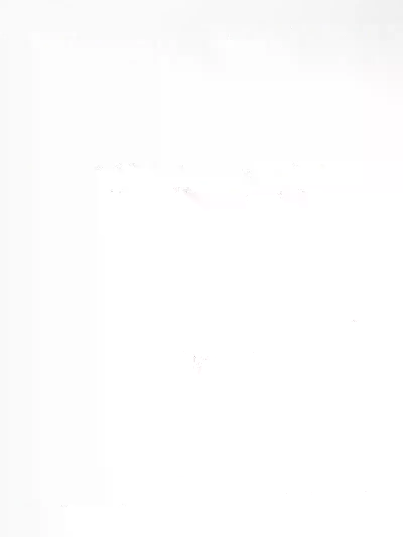 Softinos Beji slika 2