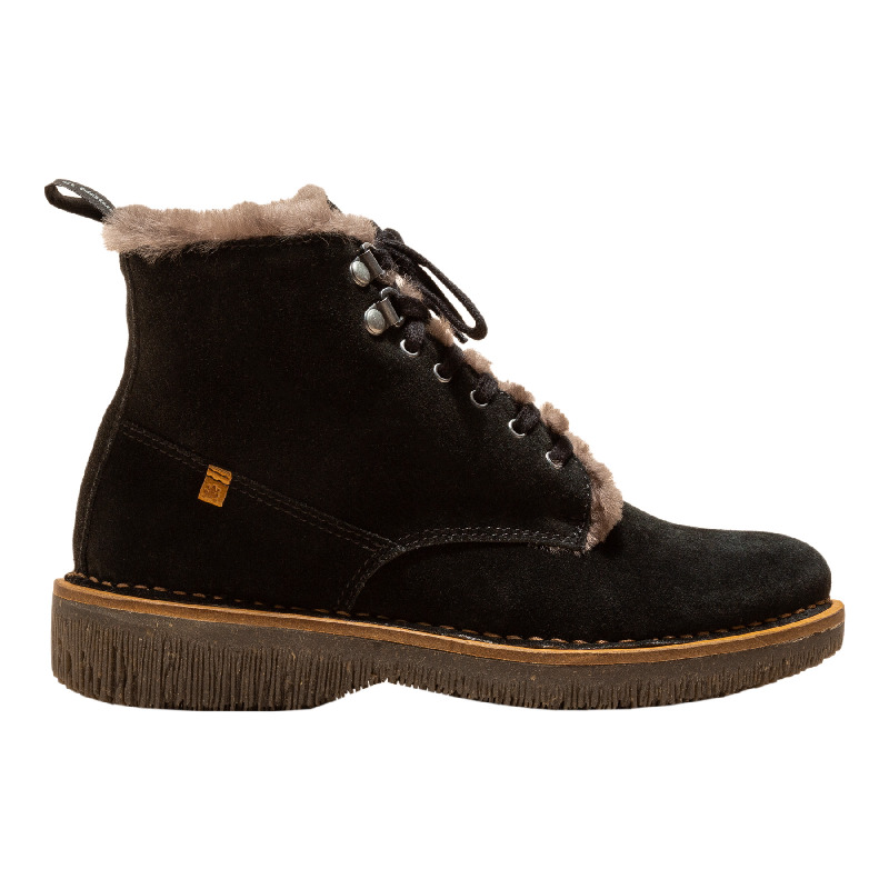 El Naturalista Volcano N5579