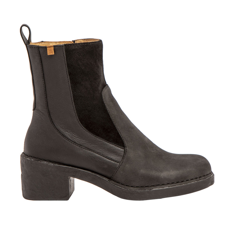 El Naturalista Ticino N5668